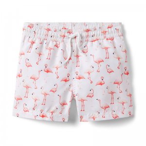 Flamingo Recycled Swim Trunk - Janie And Jack