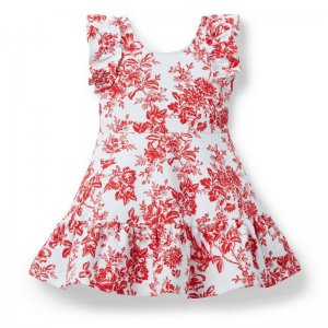 Floral Ruffle Ponte Dress - Janie And Jack