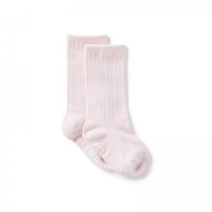 Baby Pointelle Knee-High Sock - Janie And Jack