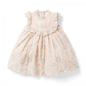 Baby Floral Lace Trim Dress - Janie And Jack