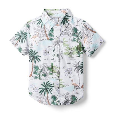 Tropical Flamingo Poplin Shirt - Janie And Jack