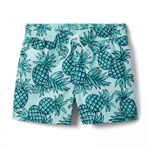 Pineapple Recycled Swim Trunk - Janie And Jack