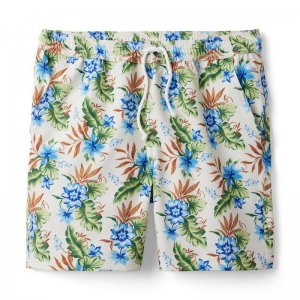 Dawne Florine Men's Tropical Floral Swim Trunk - Janie And Jack