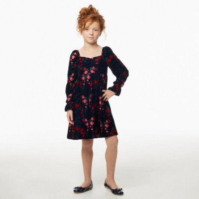 Rose Velvet Dress - Janie And Jack