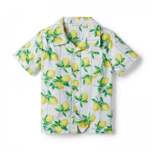 Lemon Stripe Cabana Shirt - Janie And Jack